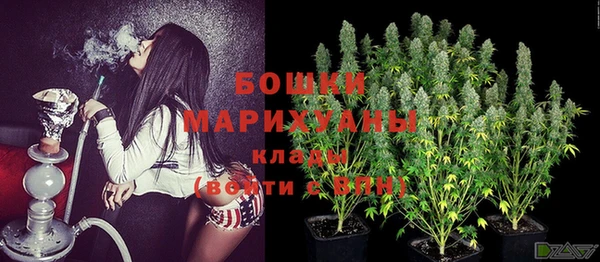 ГАЛЛЮЦИНОГЕННЫЕ ГРИБЫ Бронницы