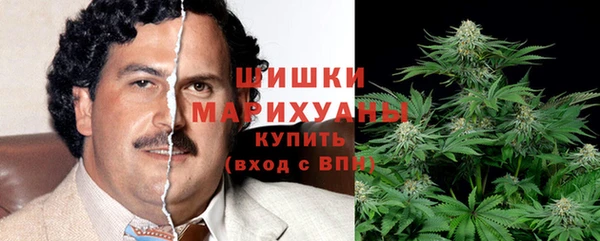 ГАЛЛЮЦИНОГЕННЫЕ ГРИБЫ Бронницы