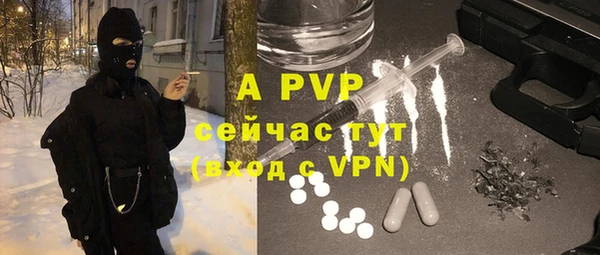 ГАЛЛЮЦИНОГЕННЫЕ ГРИБЫ Бронницы