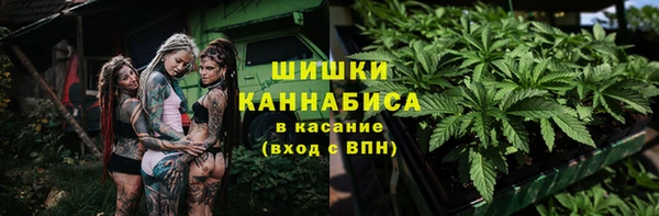 ГАЛЛЮЦИНОГЕННЫЕ ГРИБЫ Бронницы