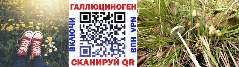 Галлюциногенные грибы ЛСД Надым