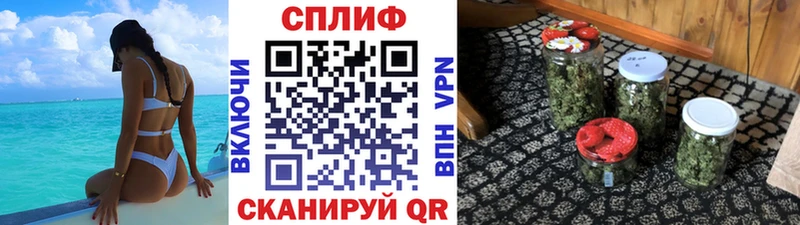 Купить закладки  Надым  Бошки Шишки VHQ 